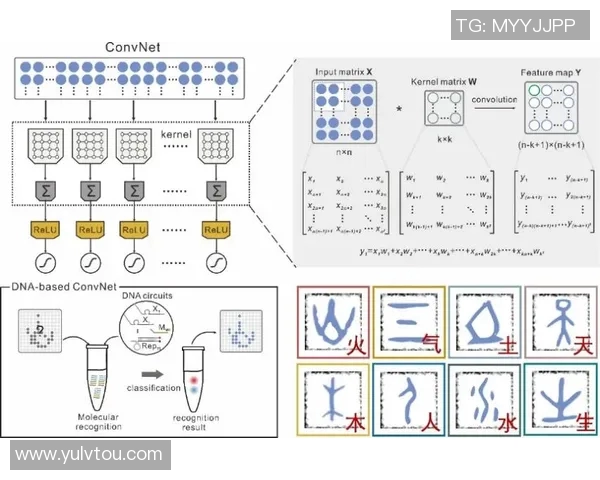换边后球队表现差异与战术适应性及心理调节机制的综合分析研究 换边后球队表现差异与战术适应性及心理调节机制的综合分析研究