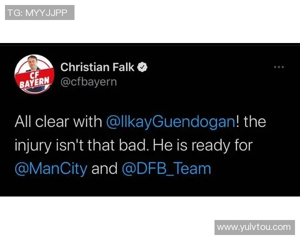 欧洲杯赛事经济效益及社会影响